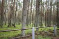 Национальный парк 'Куршская коса'